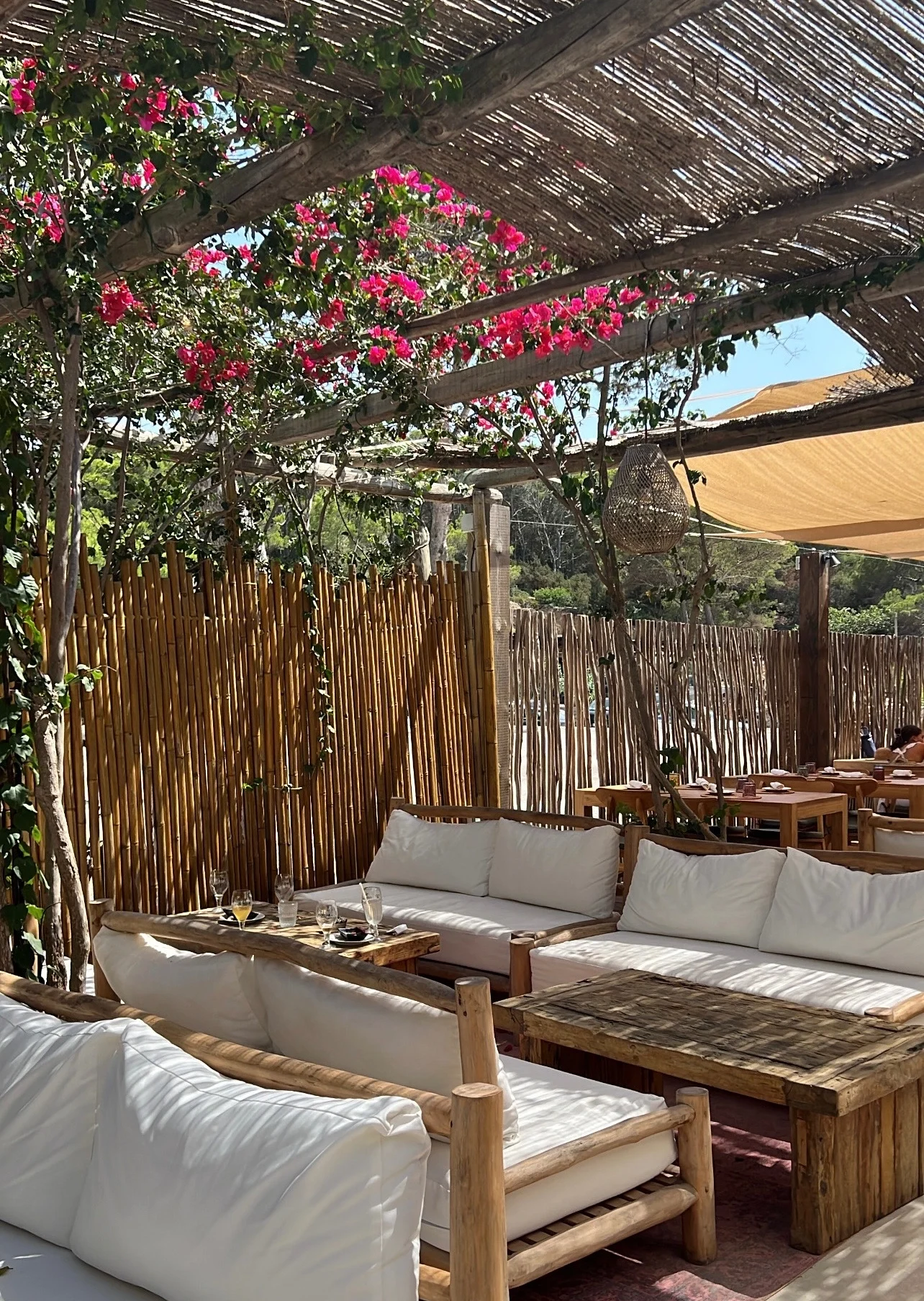 Terras op Ibiza 