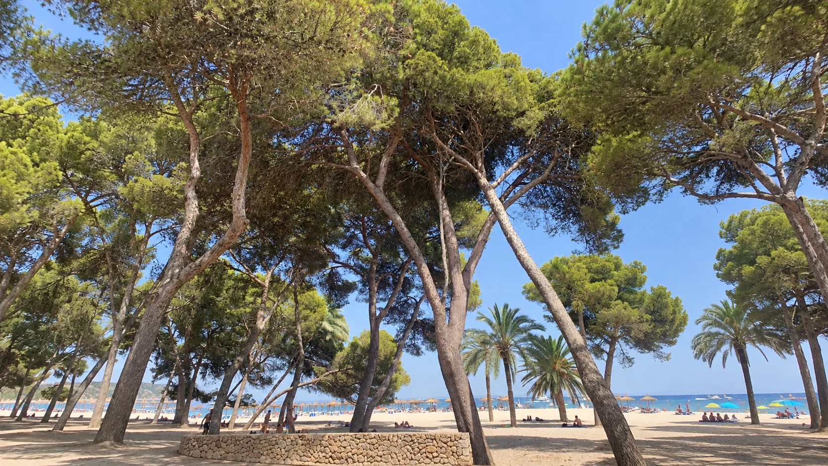 Strand in Mallorca met bergen