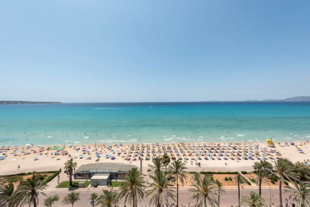 Zee Op Mallorca 