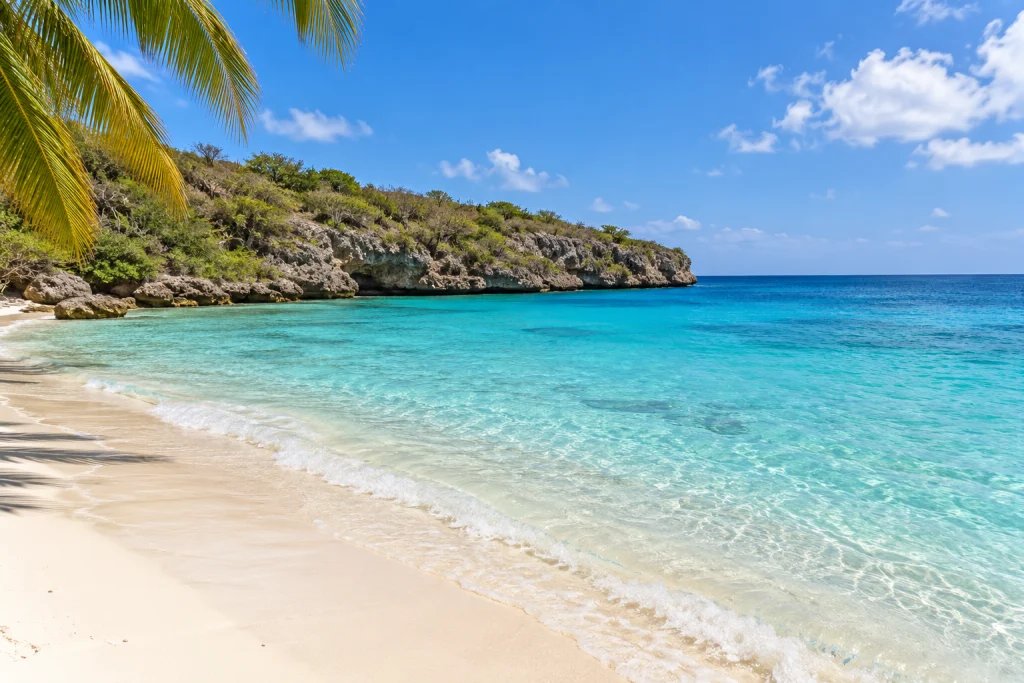 Wit zandstrand met turquoise water en overhangende palmbladeren.